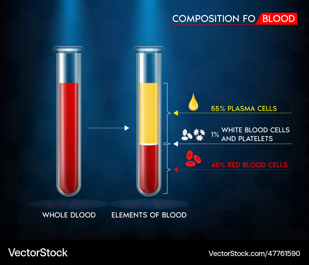 Elements of blood red cell Elements of blood red cell vector image