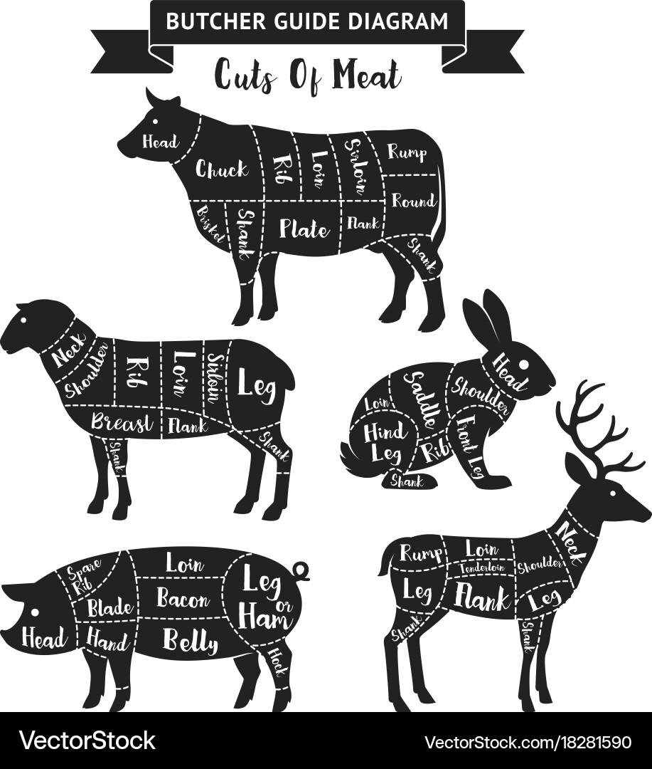Meat Cuts Diagram - Butcher Guide Vector Image