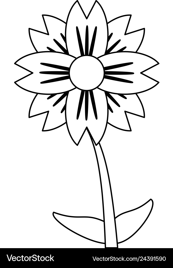 Schöne Blume Cartoon isoliert schwarz und weiß Schöne Blume Cartoon isoliert schwarz und weiß vektorbild