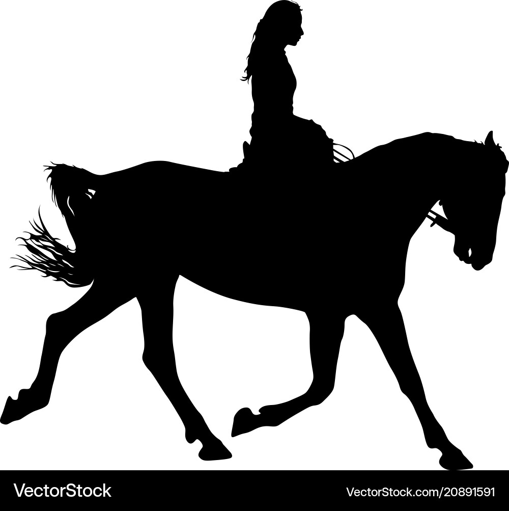 Black Horse and Jockey Silhouette vector image