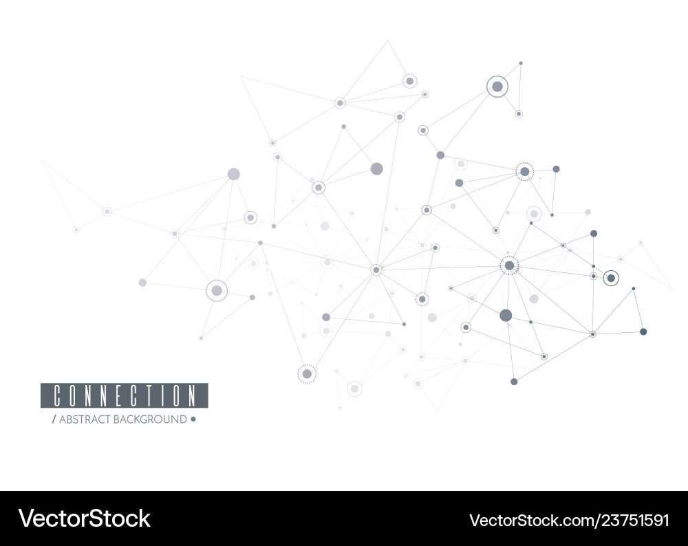 Connected Network Lines & Dots vector image