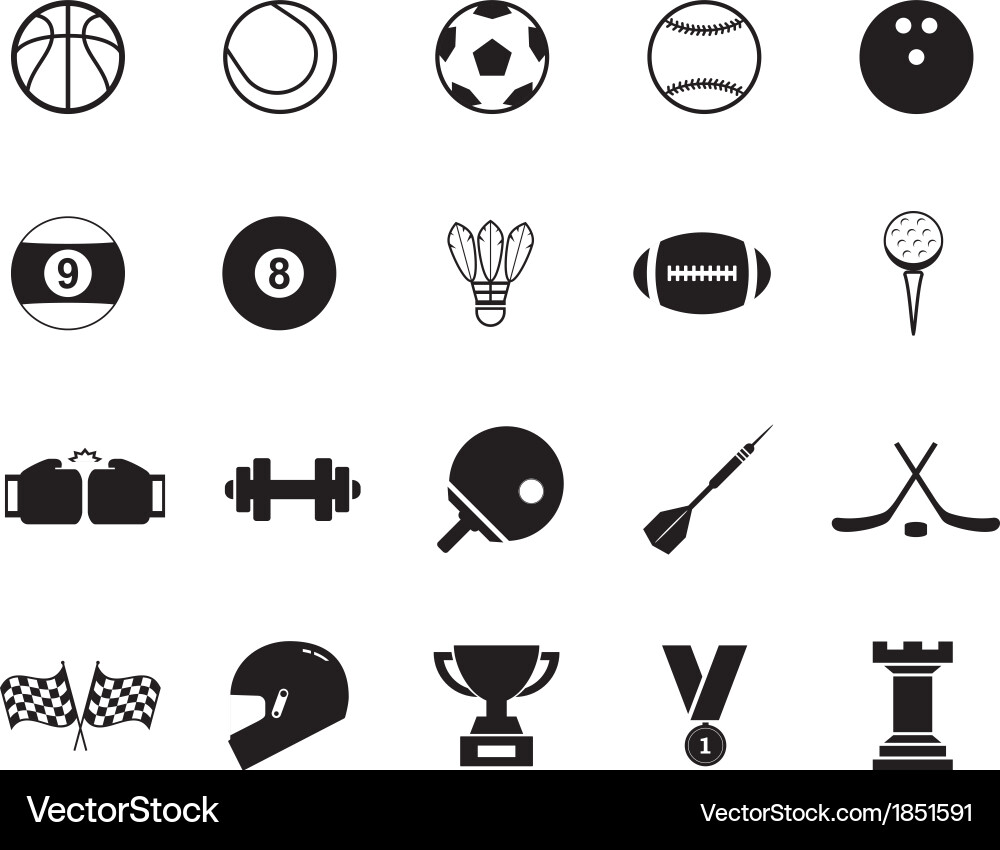 Sports Icon Set Vector Image