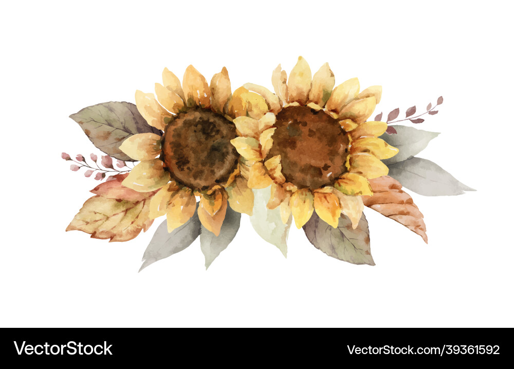 Watercolor autumn bouquet with sunflower vector image