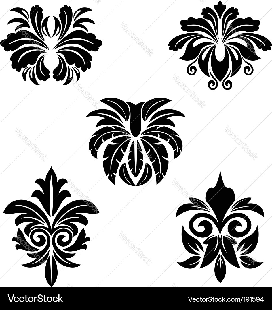 Floral Scroll Patterns Vector Image