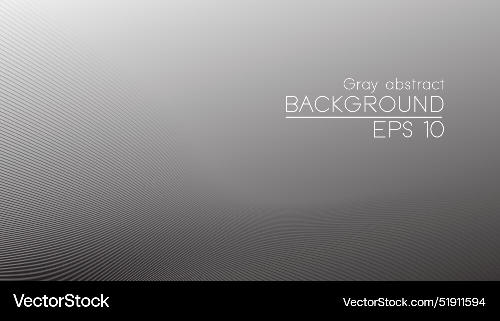 Gray curve line abstract background Vector Image