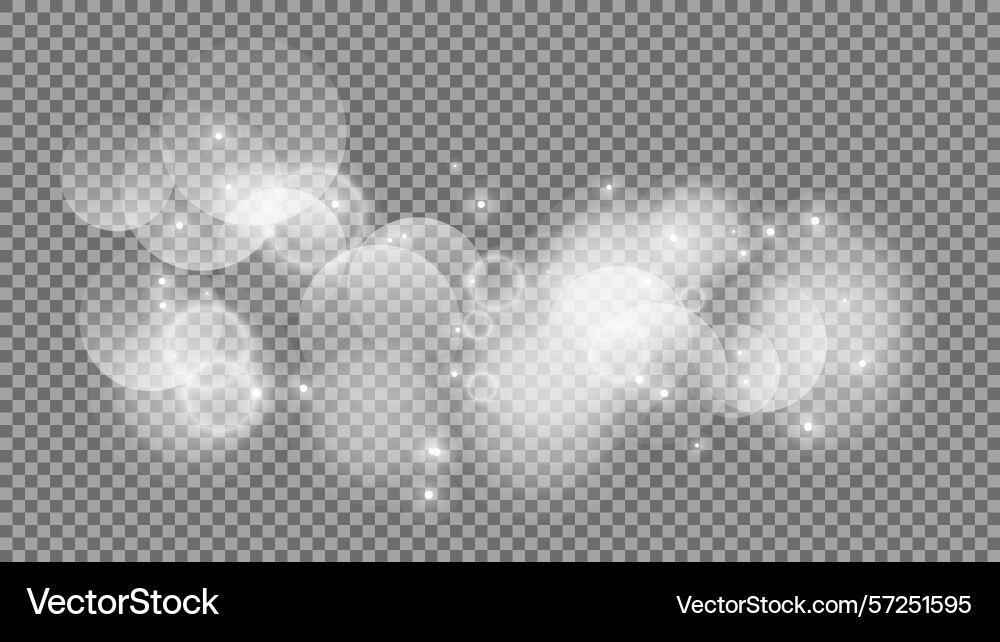 Bokeh circles on transparent background vector image