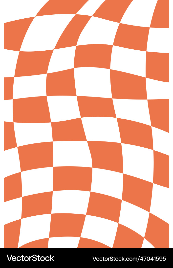Checkered rectangle pattern vector image
