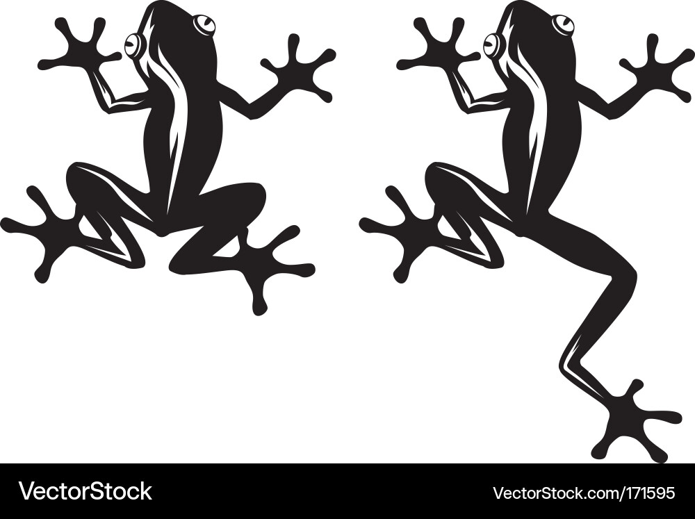 Frog Silhouette vector image