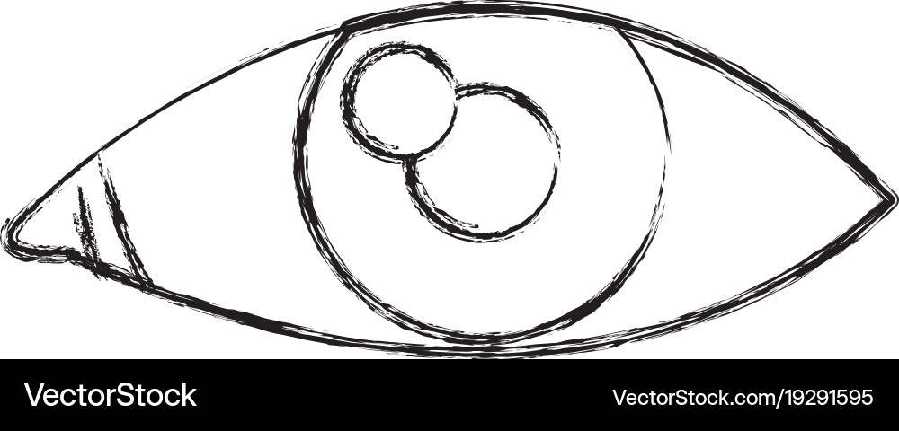 Human eye isolated Royalty Free Vector Image - VectorStock
