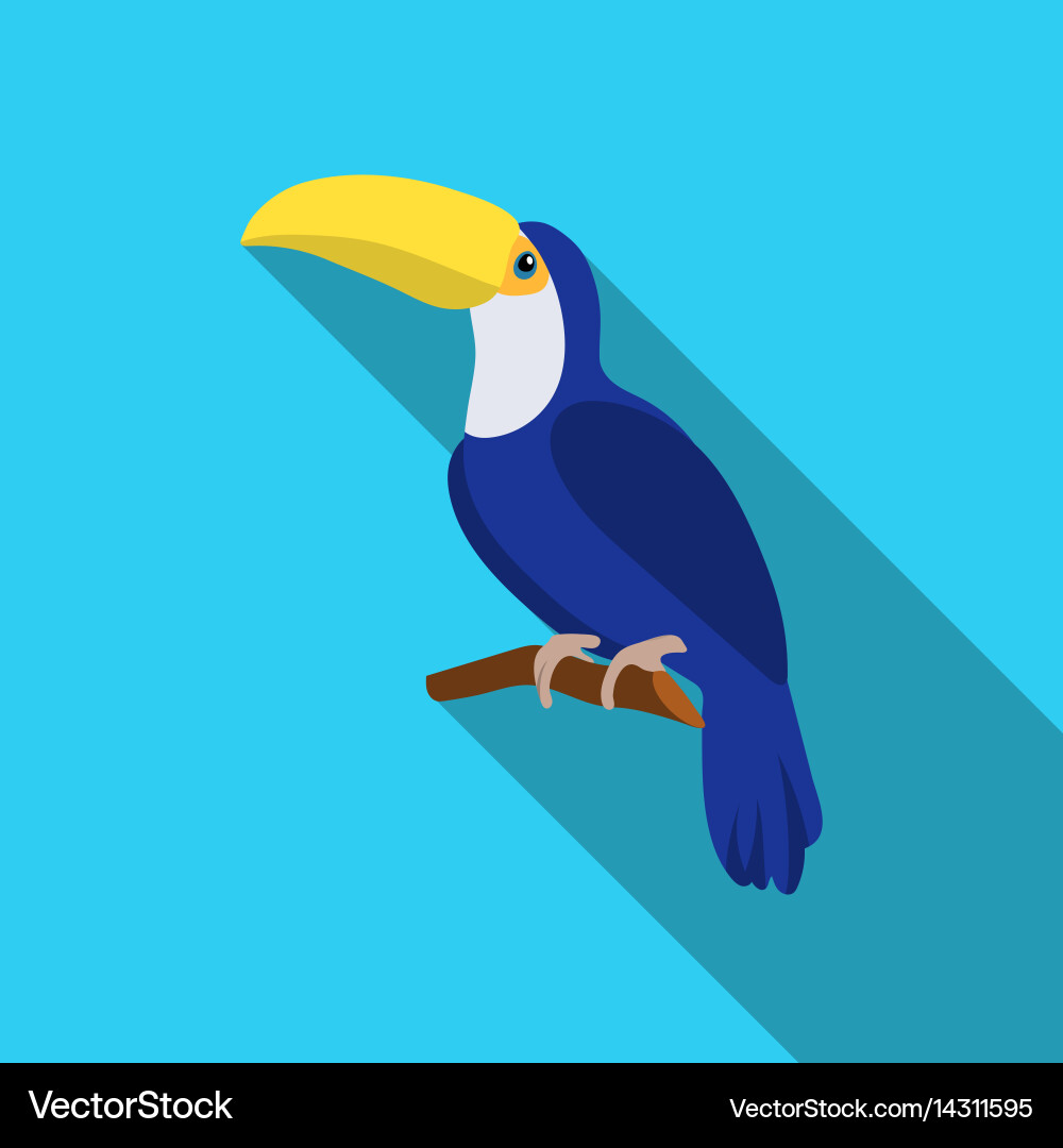 Toucan icon in flate style isolated on white vector image