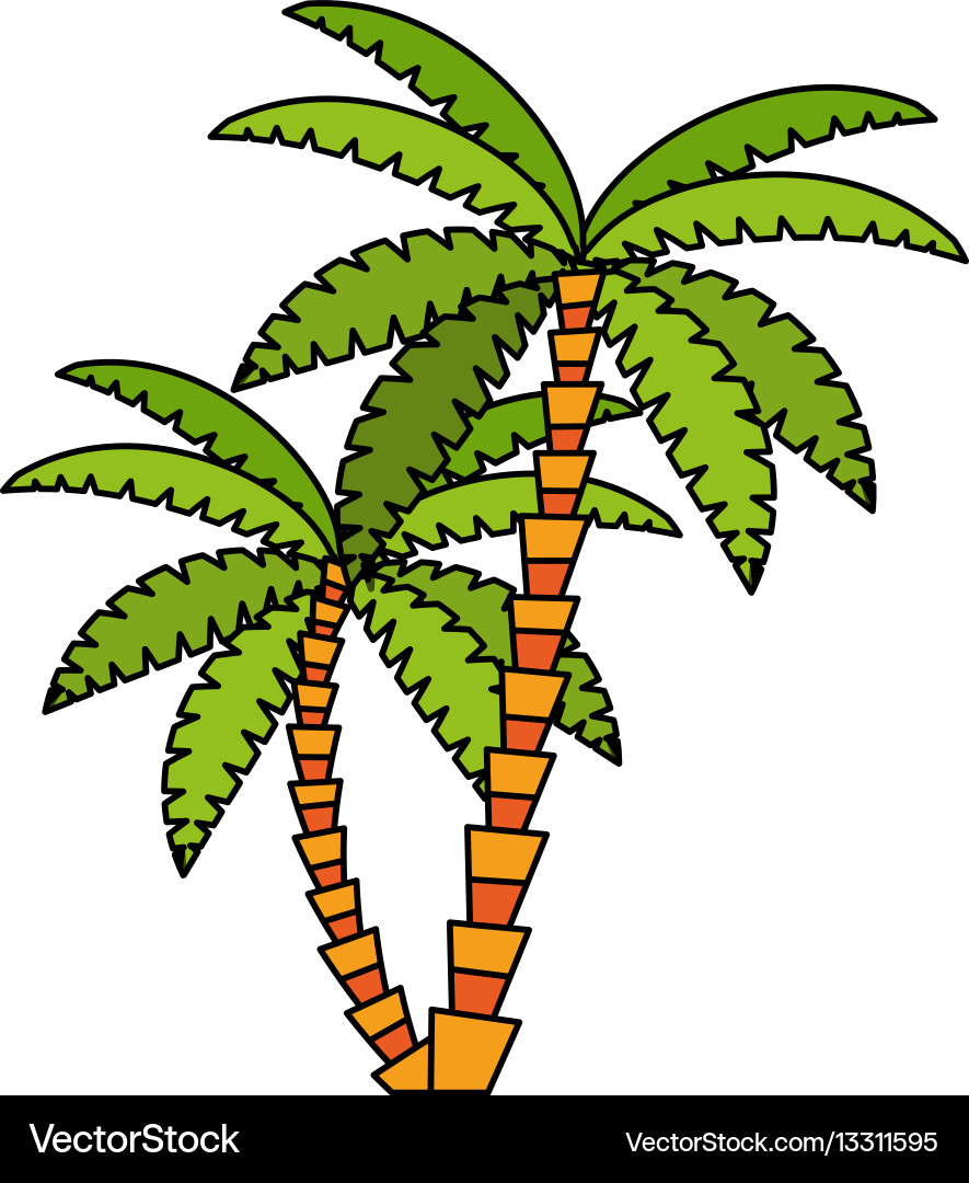 Tree icon image Vector Image