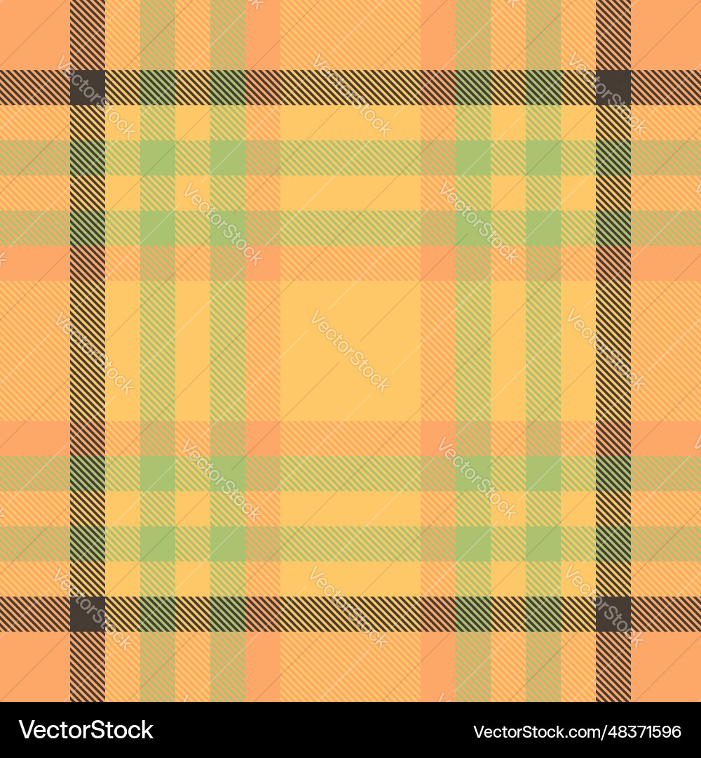 Background tartan pattern of texture fabric Vector Image