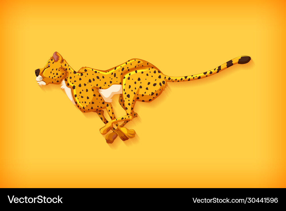 Background template design with plain color vector image