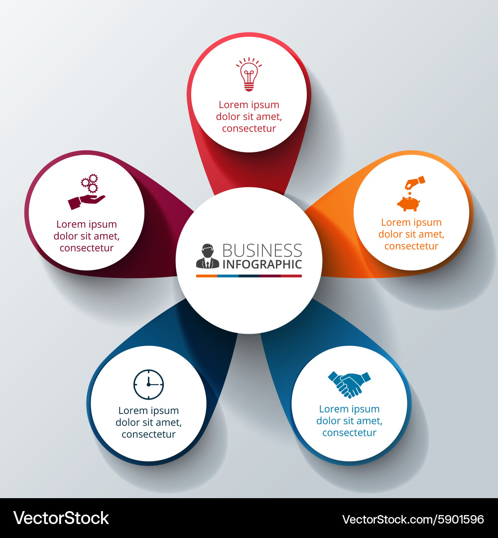 Circular Data Visualization Infographic vector image