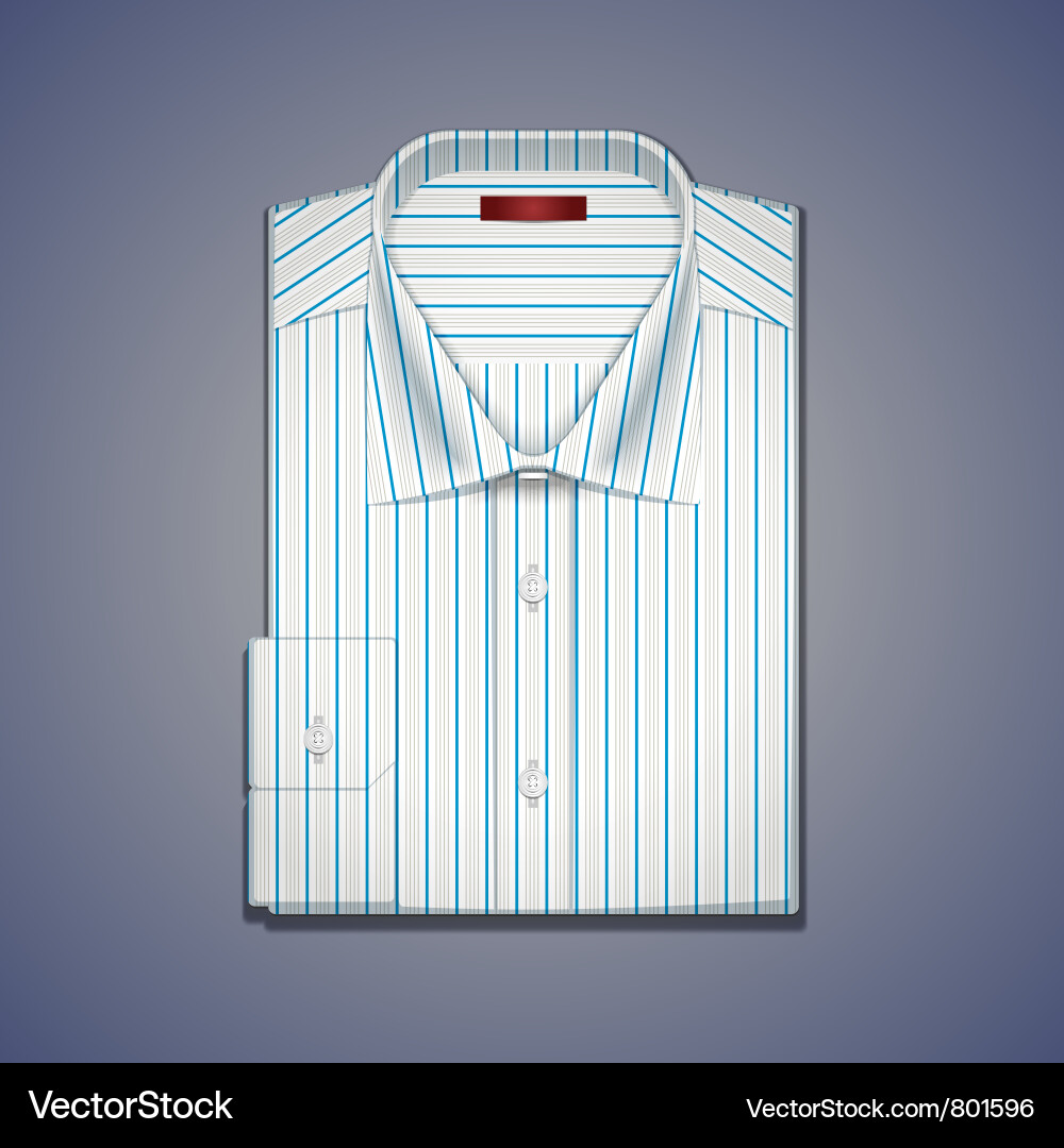 Classic Striped Shirt Vector Image