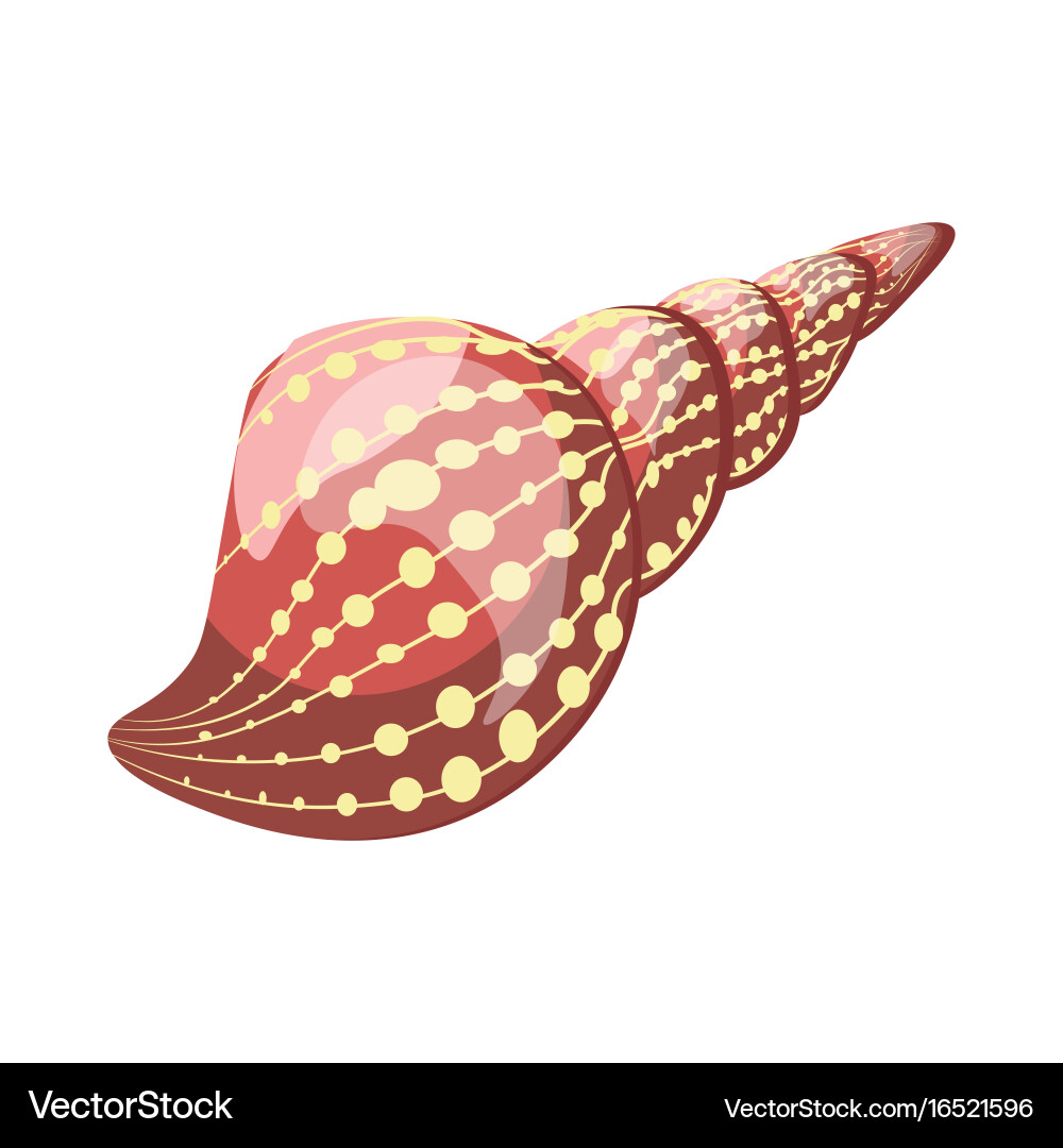 Sea shell in brown color with dots rolled shap vector image