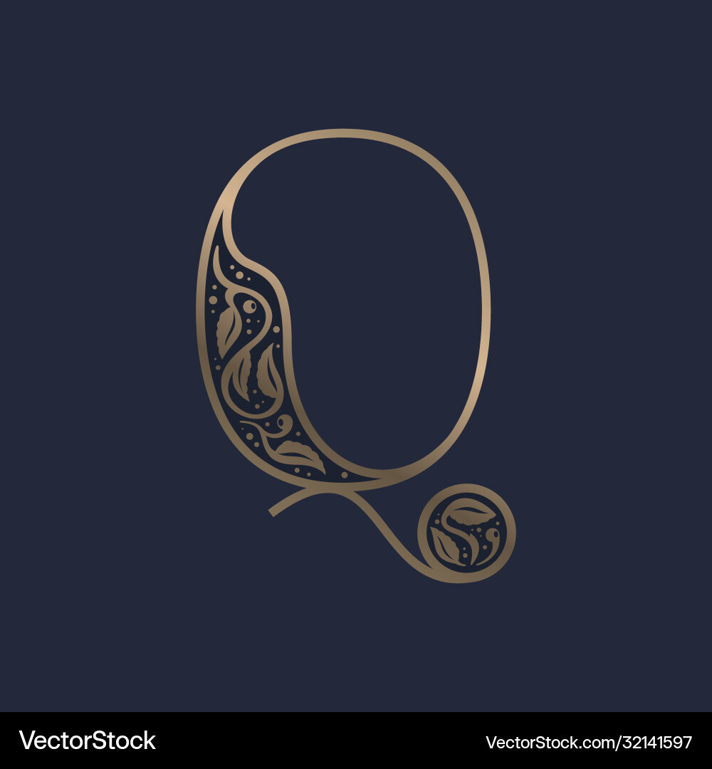 Vintage q letter logo with premium decoration Vintage q letter logo with premium decoration vector image