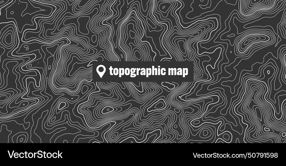 Topographic map with contour lines geographic Topographic map with contour lines geographic vector image