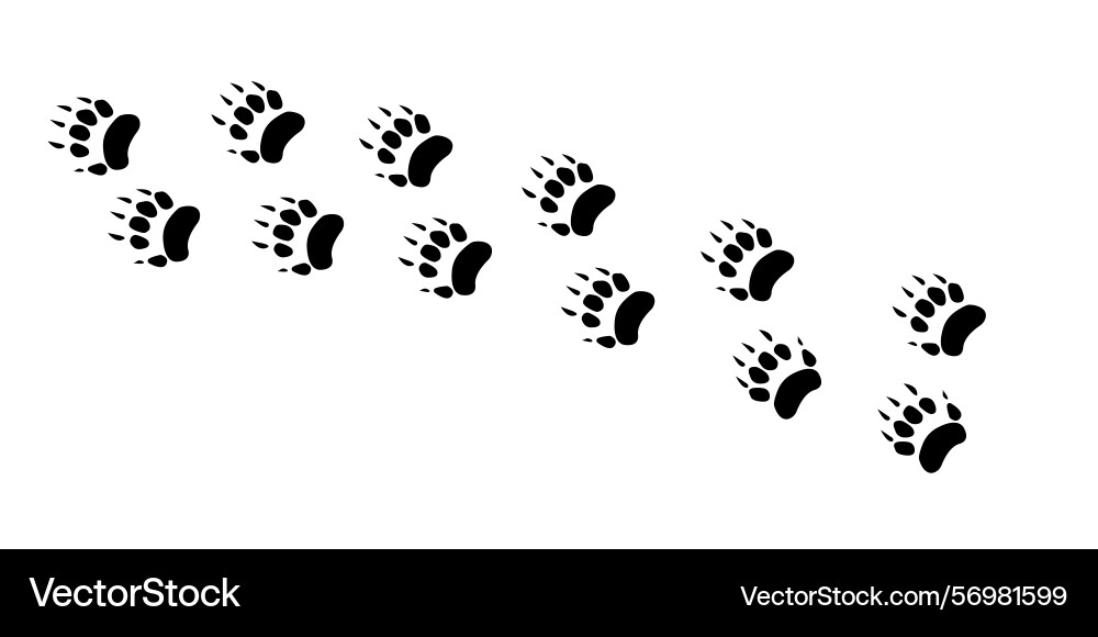 Badger paw print icon filled flat sign Badger paw print icon filled flat sign Vector Image