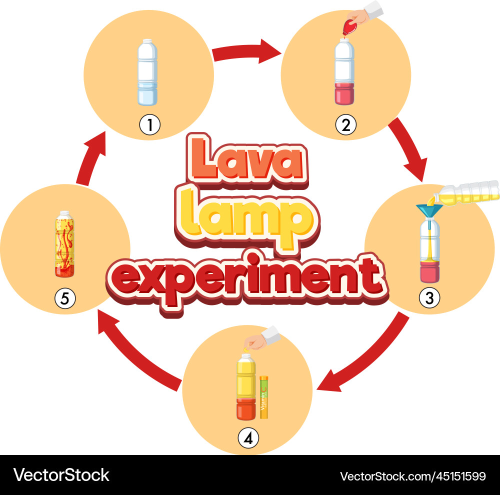Lava lamp science experiment Vector Image
