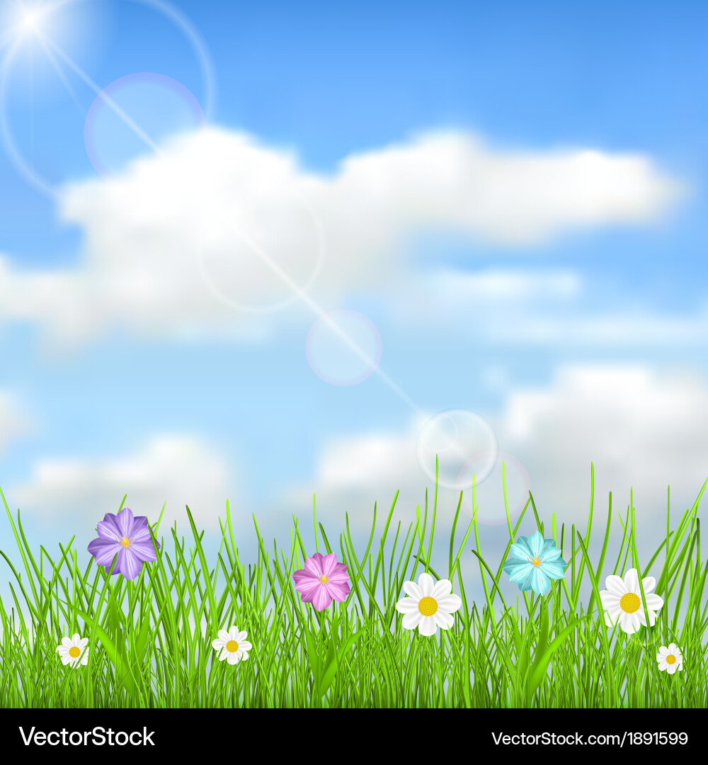 Serene Sky with Clouds and Flowers Vector Image