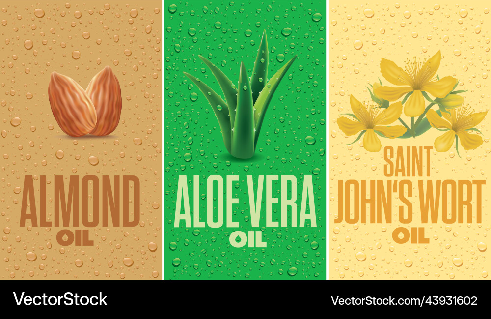 Almond aloe vera st johns wort oil labels Almond aloe vera st johns wort oil labels vector image