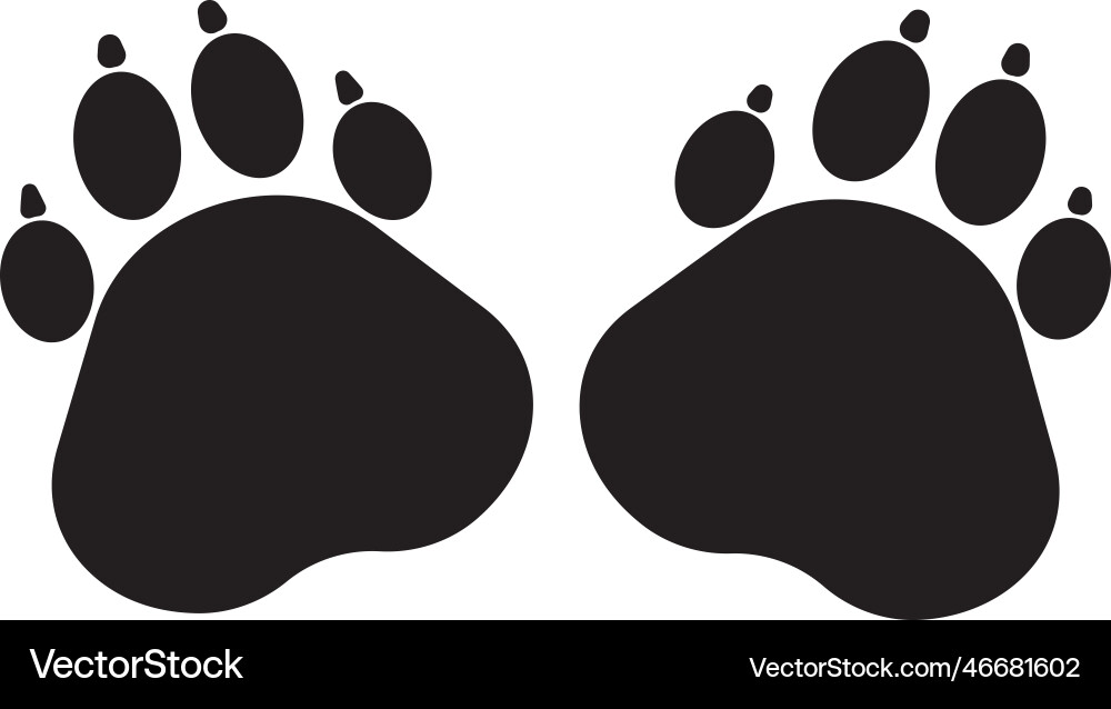 Animal Footprint Collection Vector Image