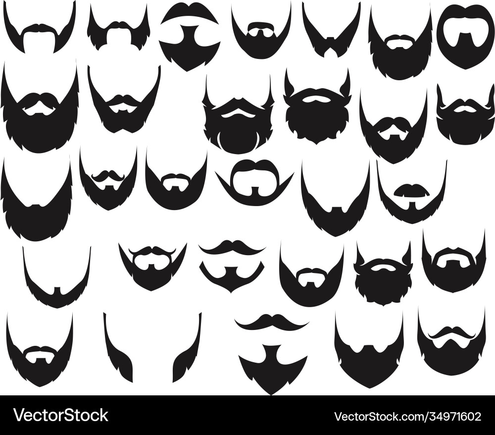 Diverse Beard Styles Set vector image