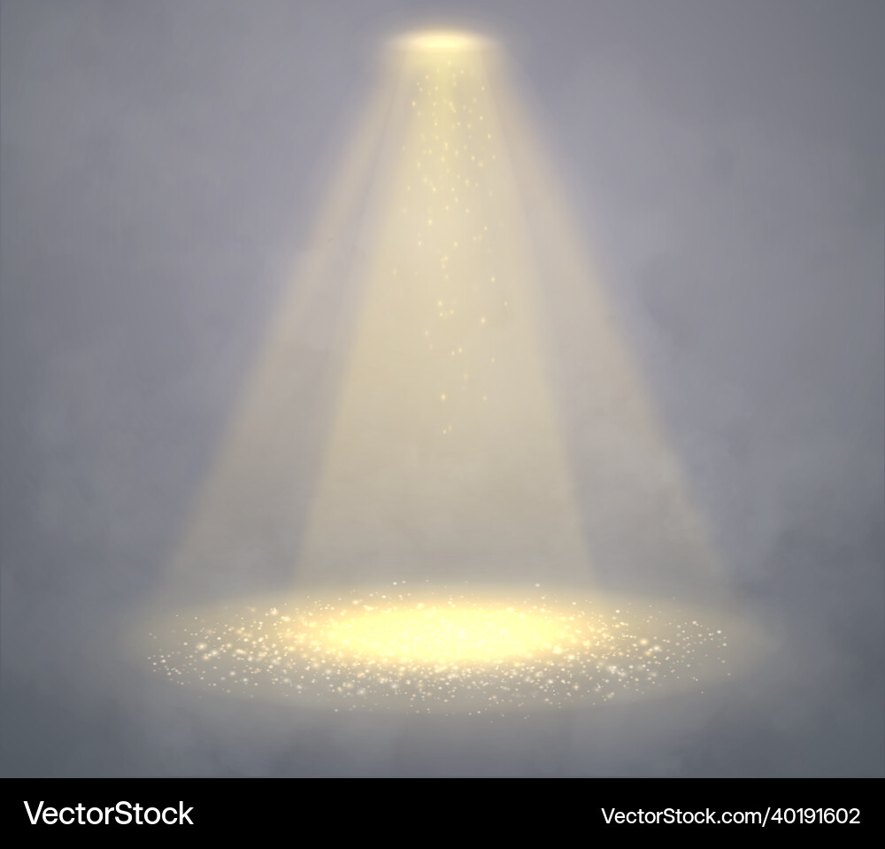 Golden Spotlight Effect Vector Image