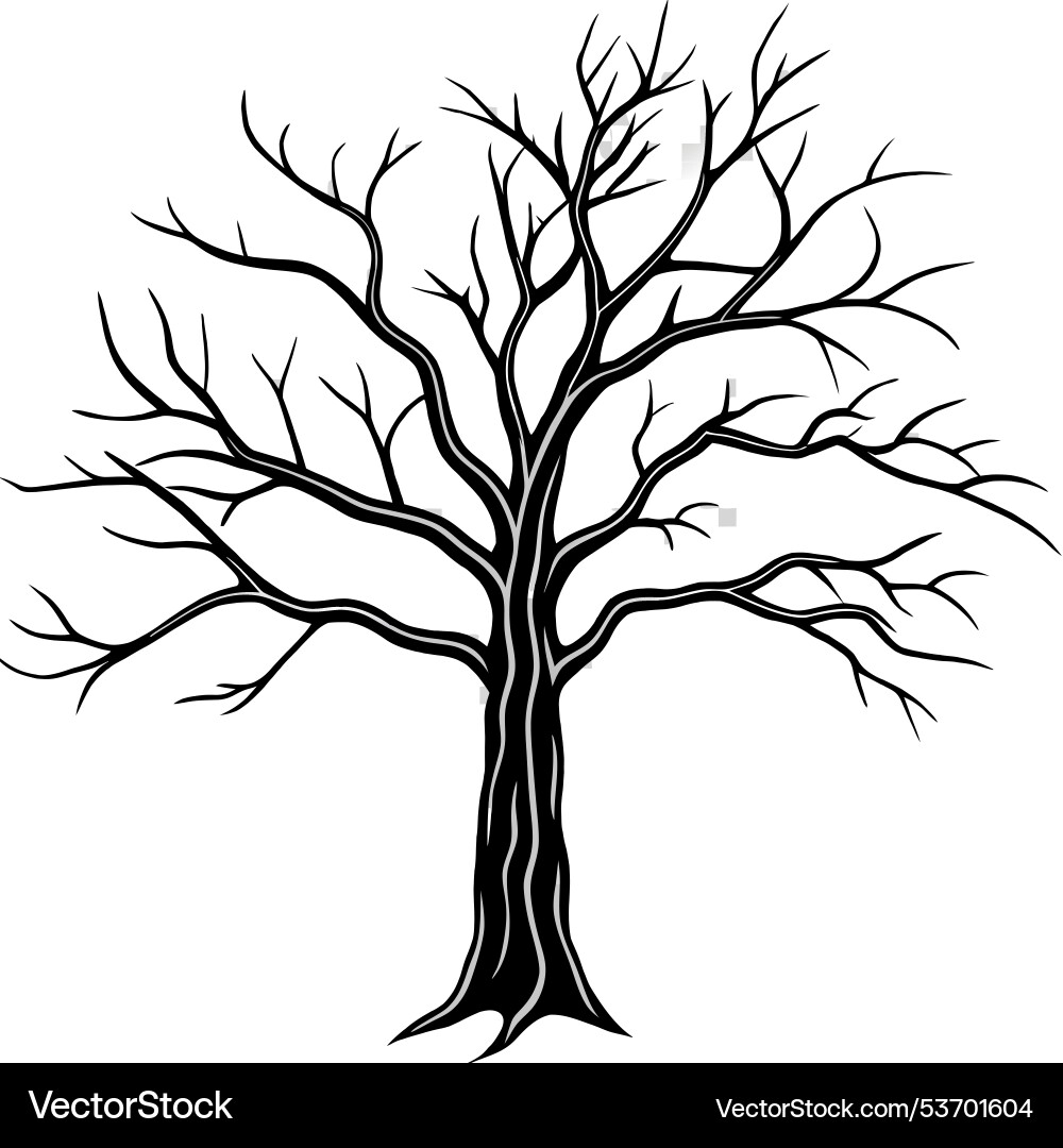 Dead tree isolated on transparent background dry vector image