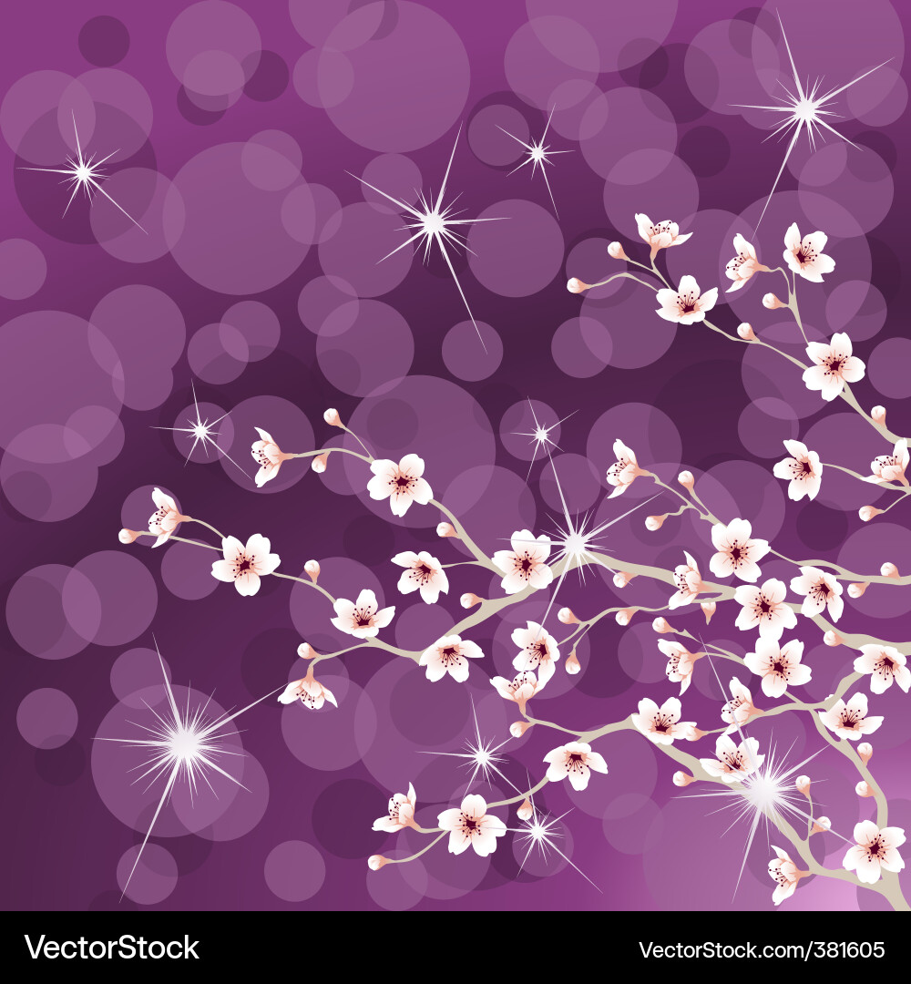 Cherry Blossom Branch vector image