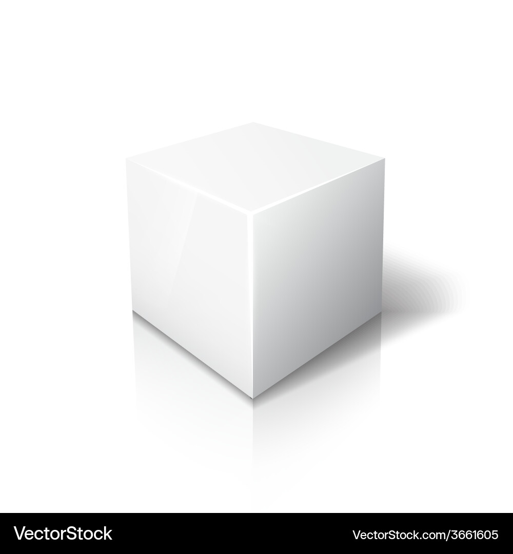White Cube Reflection vector image