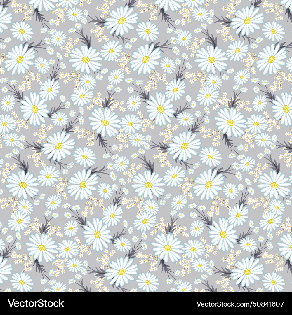 Chamomile field in a pattern Vector Image