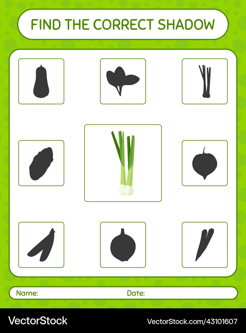 Find the correct shadows game with spring onion Find the correct shadows game with spring onion Vector Image