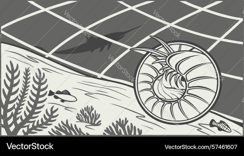 Nautilus shell in abstract digital grid landscape Vector Image