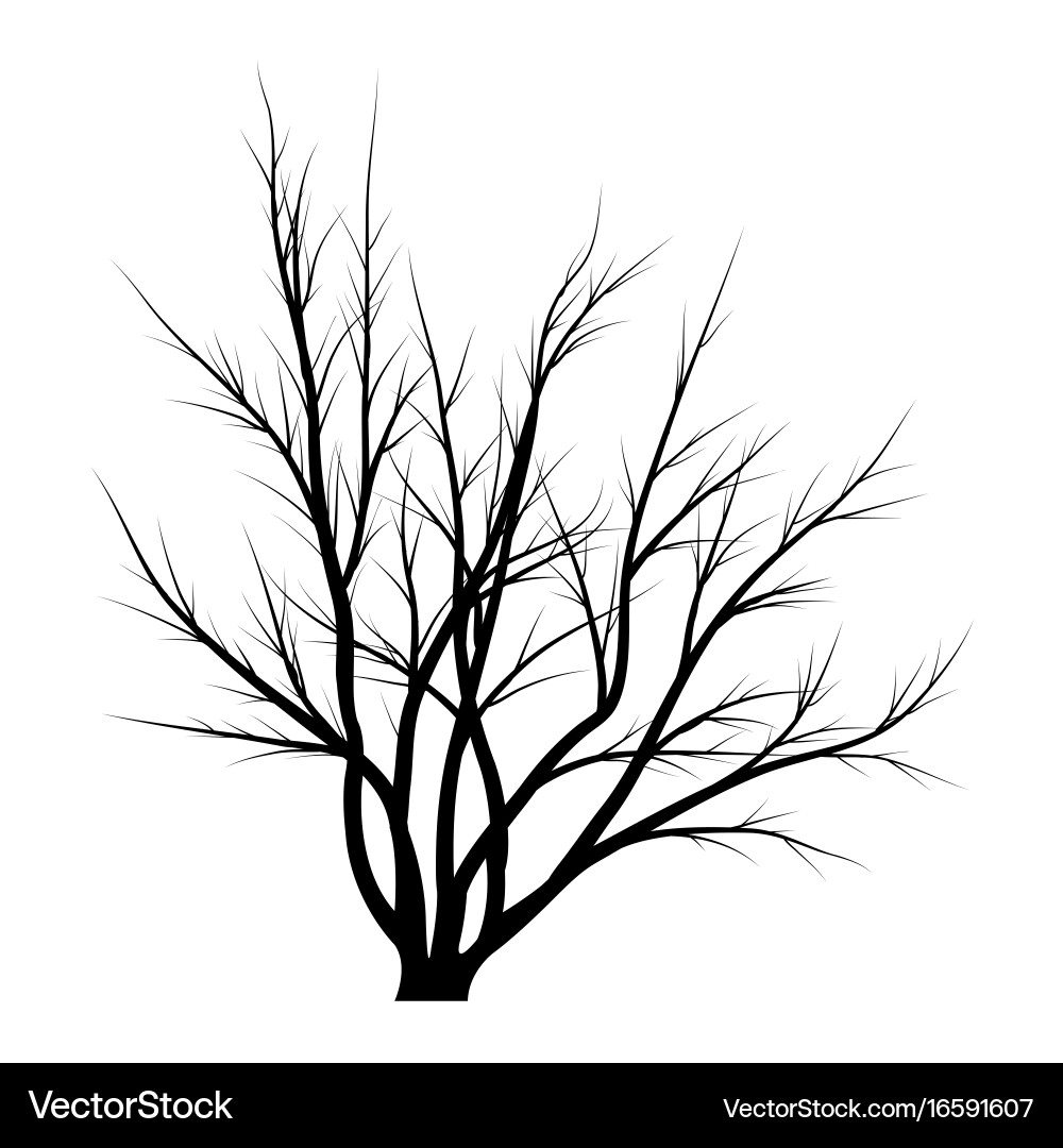 Trees with dead branches Vector Image