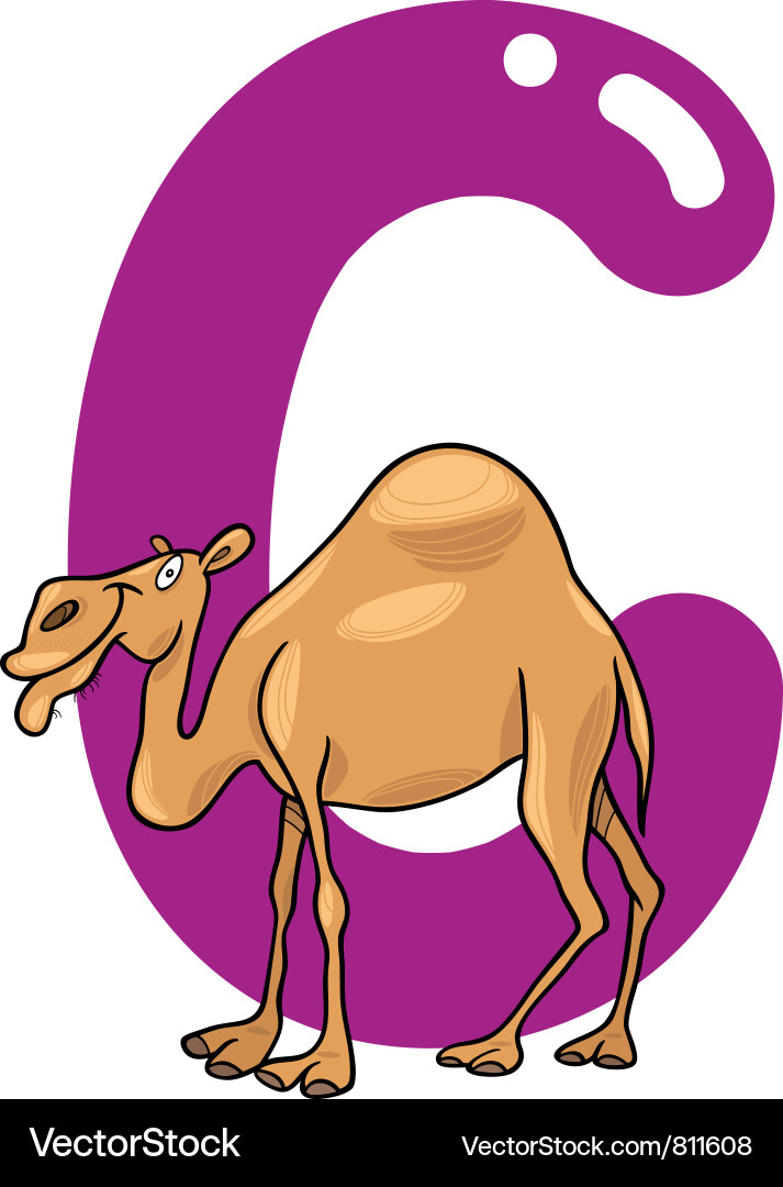 C for camel vector image