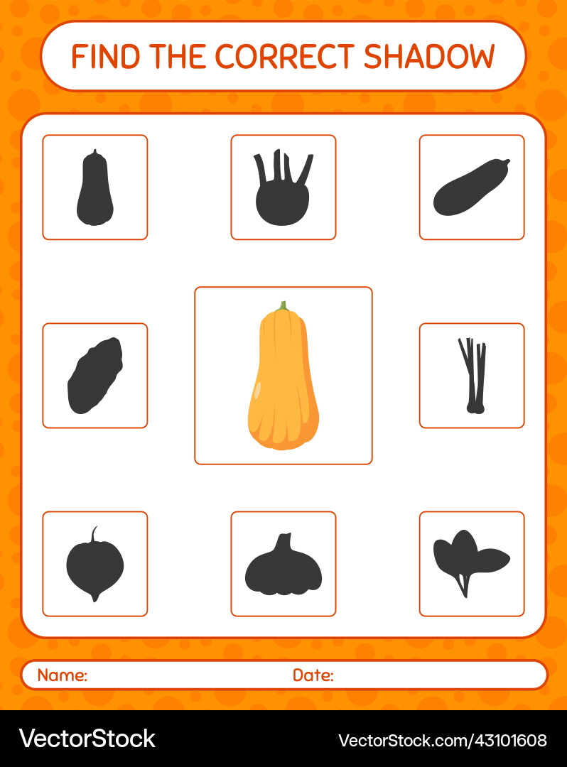 Find the correct shadows game with squash Find the correct shadows game with squash vector image