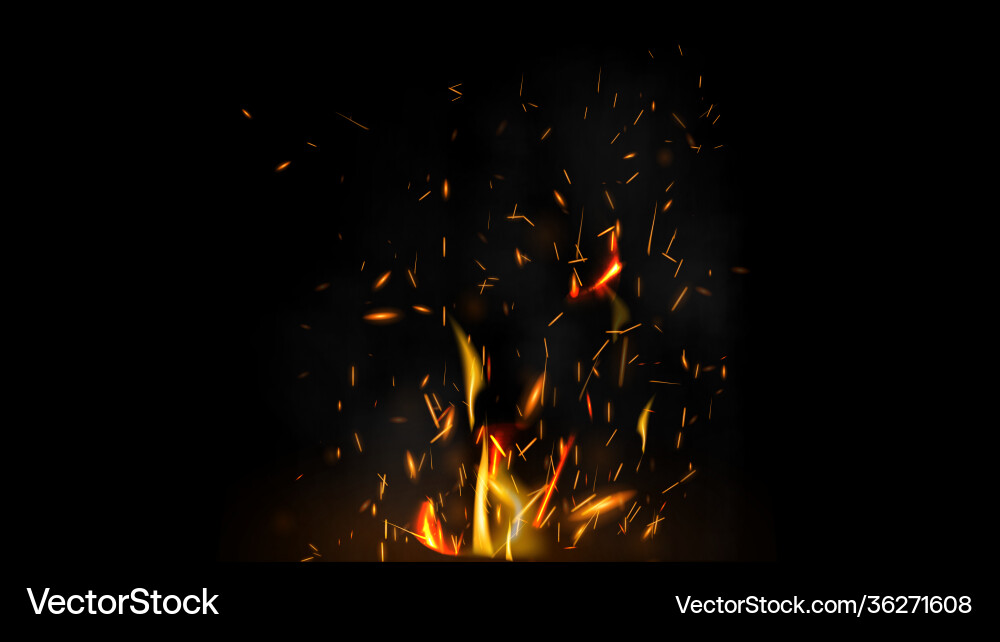 Fire flying sparks on a black background for your Fire flying sparks on a black background for your vector image
