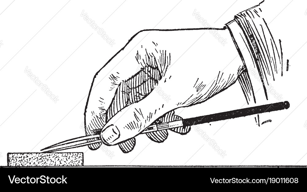 Position for lettering cladding of the main Vector Image