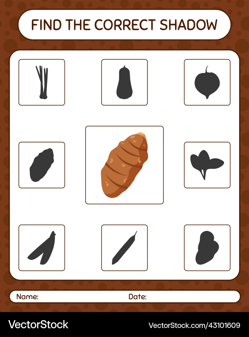 Find the correct shadows game with taro root vector image