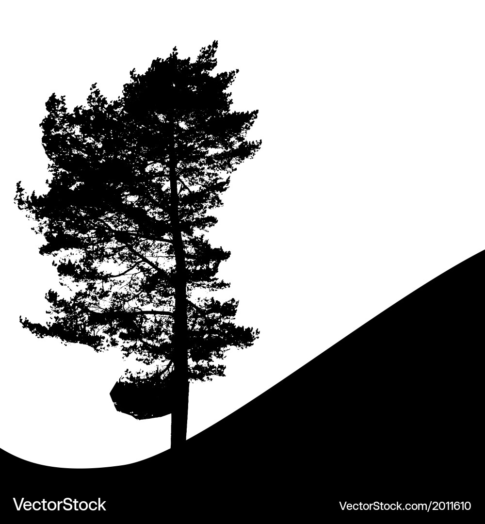 Tree silhouette isolated on white background Vector Image