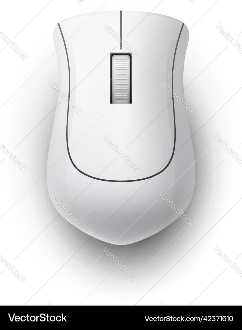 White Computer Mouse Vector Image