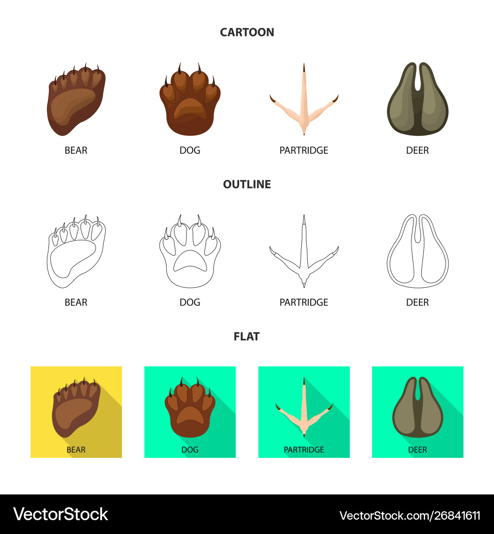 Design step and walk icon set Design step and walk icon set vector image