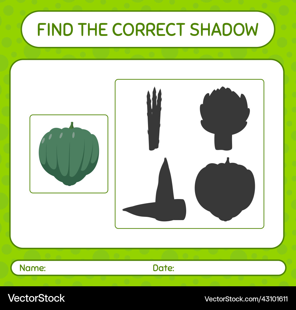 Find the correct shadows game with acorn squash Find the correct shadows game with acorn squash vector image