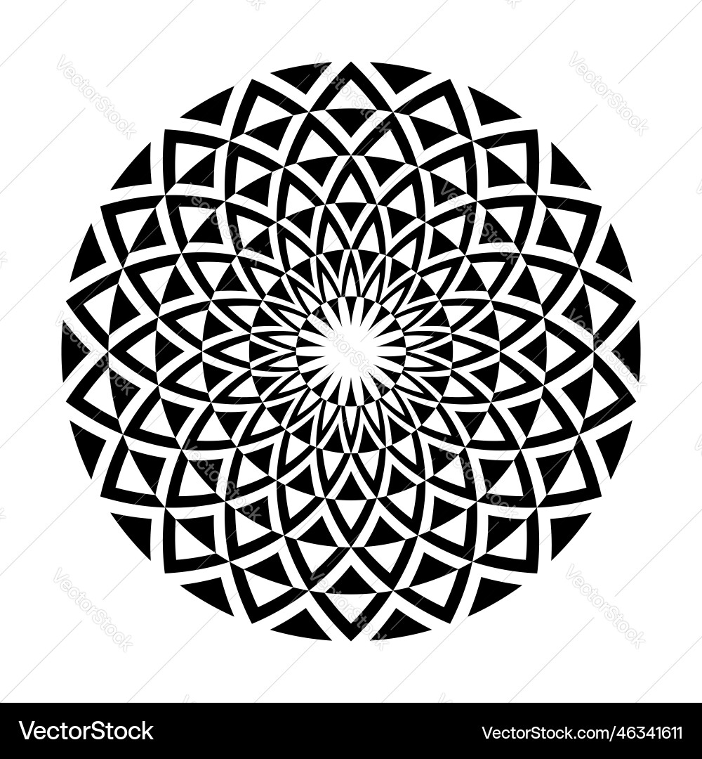 Intricate Radial Circle Pattern vector image
