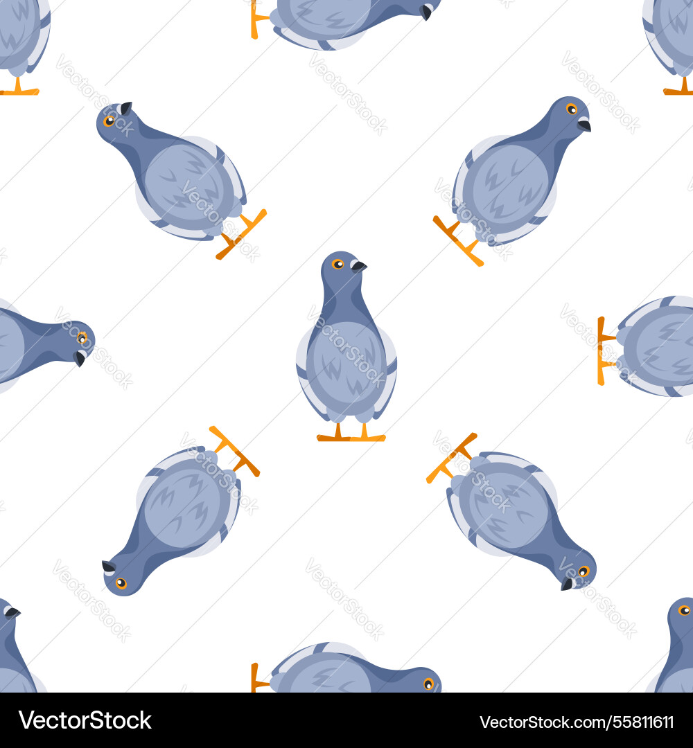 Seamless pattern of pigeons standing and posing Seamless pattern of pigeons standing and posing vector image