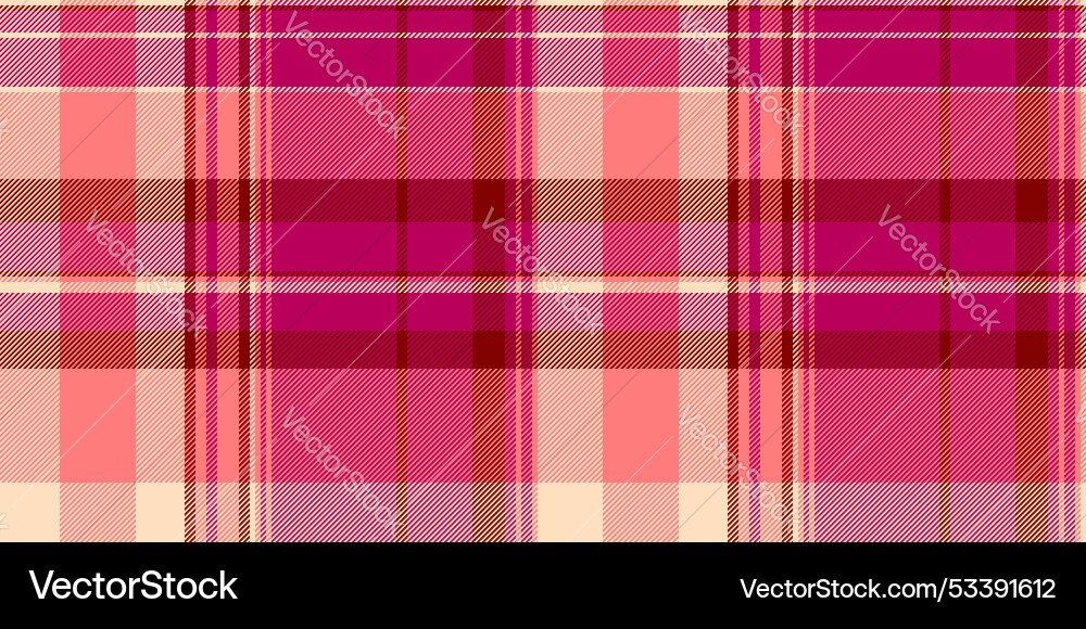 Asymmetric pattern check flannel background Vector Image