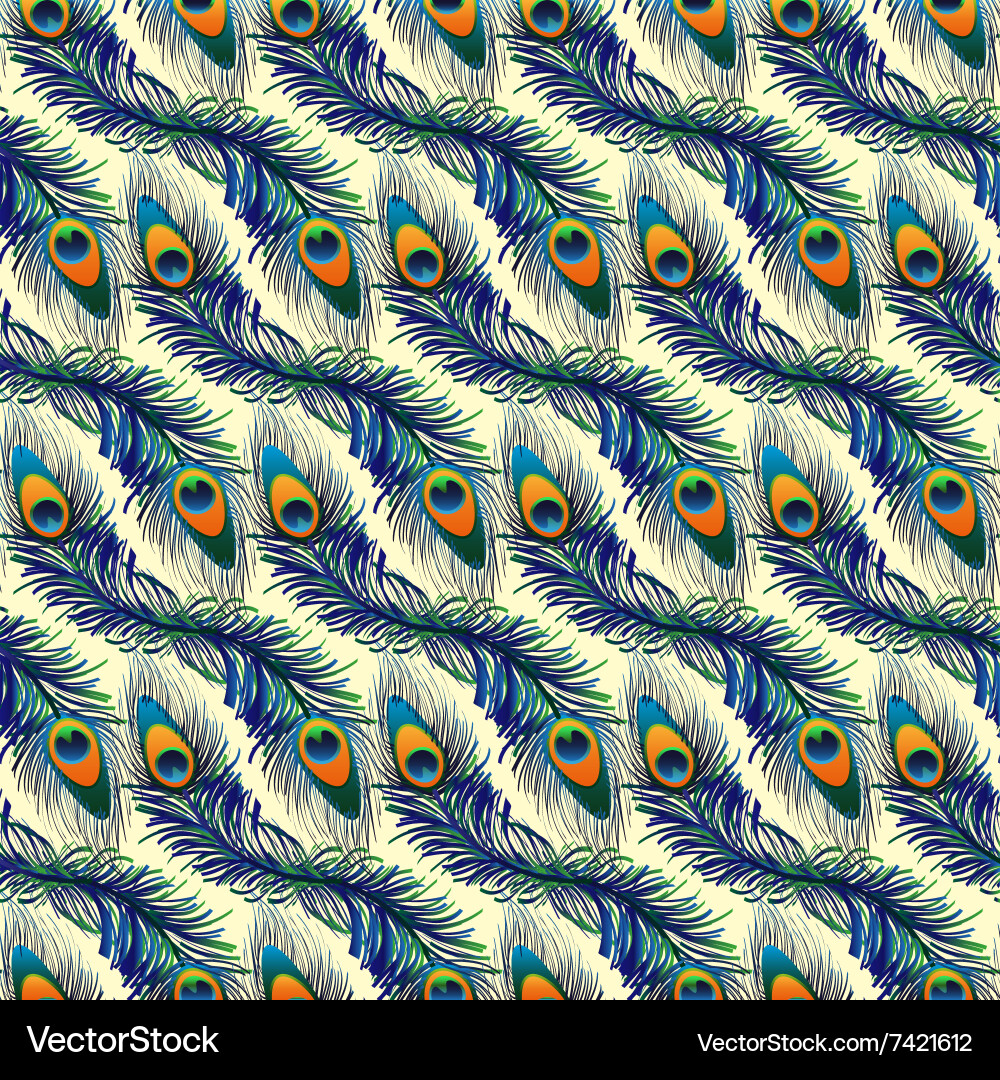 Beautiful pattern with peacock feathers Vector Image