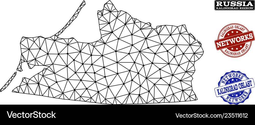 Polygonal network mesh map of kalinigrad vector image